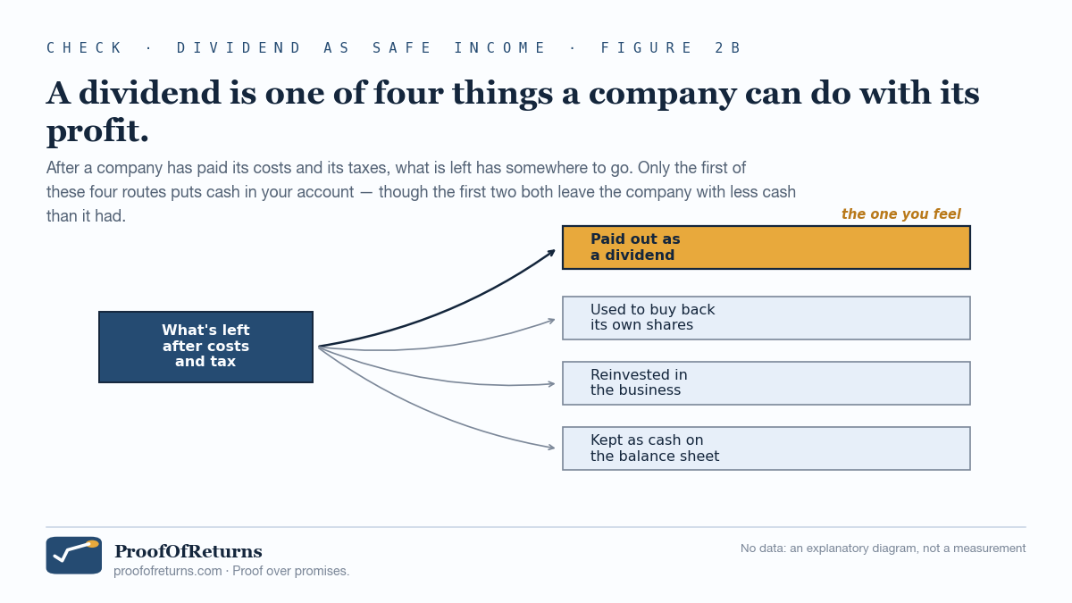 A diagram with no numbers. A navy box on the left reads 'What's left after costs and tax'. Four arrows fan out to four boxes on the right: 'Paid out as a dividend' highlighted in amber and labelled 'the one you feel', then 'Used to buy back its own shares', 'Reinvested in the business', and 'Kept as cash on the balance sheet'.